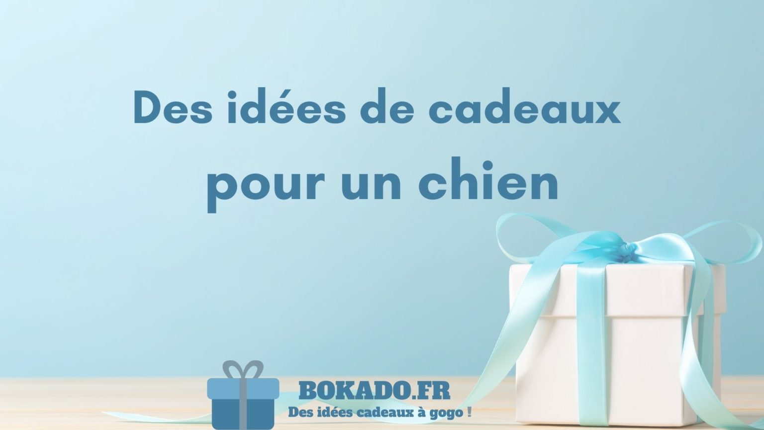 25 idées de cadeaux pour un chien Bokado.fr